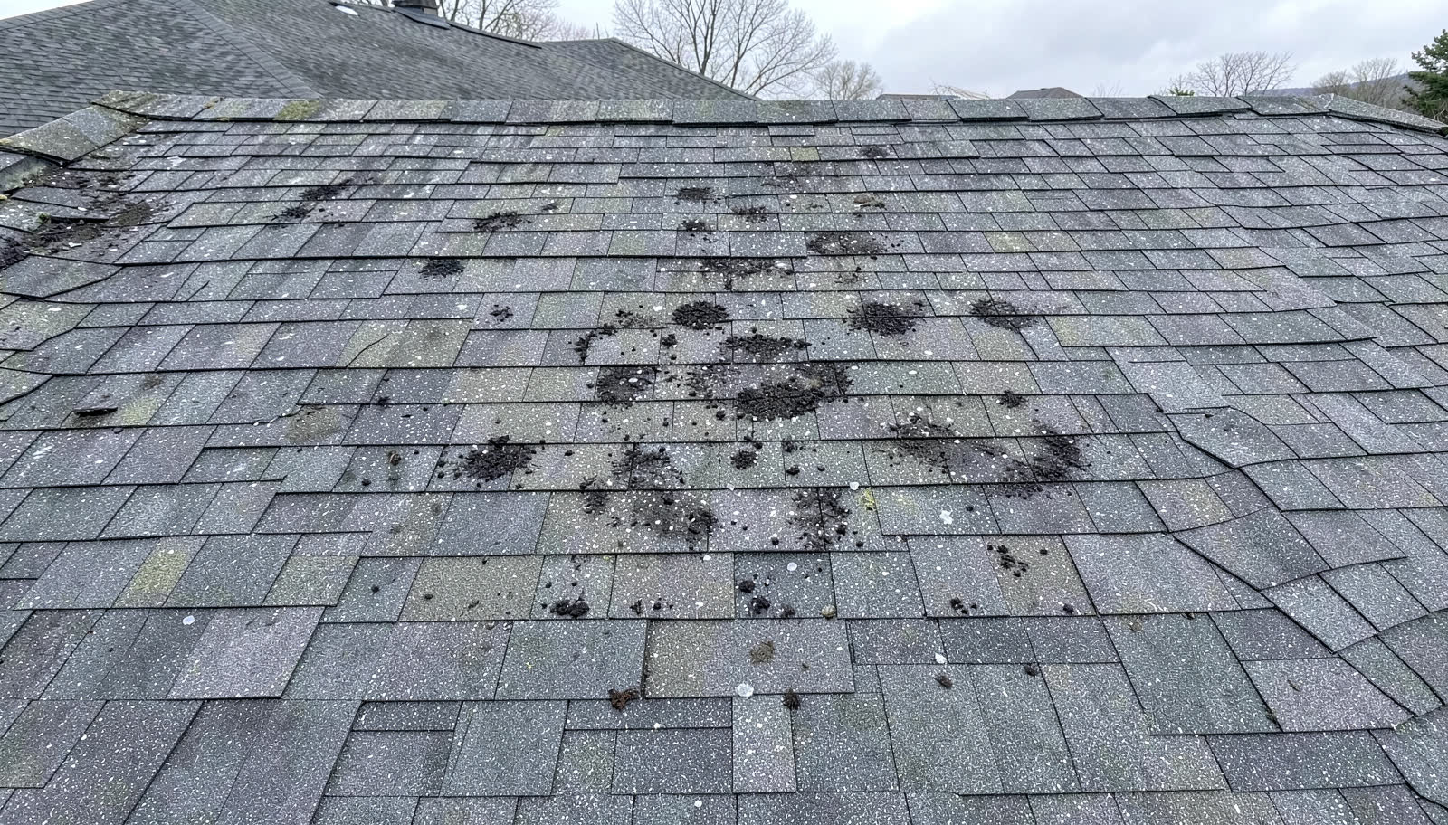 Close view of an asphalt shingle roof with hail impact marks and displaced granules